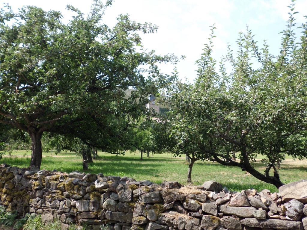 Casa Rural La Altanera Barniedo de la Reina Екстериор снимка